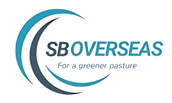 sb_overseas_bg__3_-removebg-preview